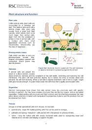 Plant cell structure and function pdf. Pdf Plant Structure And Function John Verna Academia Edu
