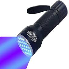 Uv Flashlightbrightest Black Light 21led Pet Urine Detectorbest At Detecting Stains From Catsdogsperfect For Scorpion Hunti Uv Flashlight Pet Urine Black Light