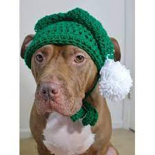 Include Your Dog In All The Christmas Fun With This Elf Hat This Elf Hat Is Great For Photos Or Everyday Wear At The End Dog Hat Crochet Dog Hat Dog