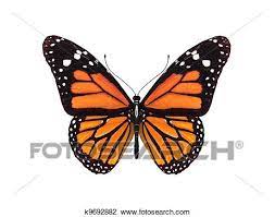 Numerique Render De A Papillon Monarque Dessin K9692882 Monarch Butterfly Butterfly Art Insects