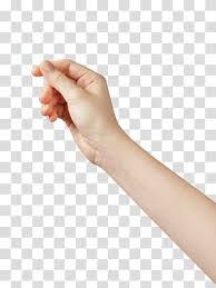 Person S Right Hand Hand Woman Index Finger Fingers Transparent Background Png Clipart Hiclipart Download now the free icon pack 'hand drawn arrows'. person s right hand hand woman index