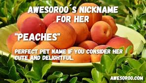 When i was about 14 i remember thinking when it came to proposing to my future girlfriend, i'd make a cd making your lives easier; 290 Really Cute Nicknames For Girls Cool Funny Dec 2019