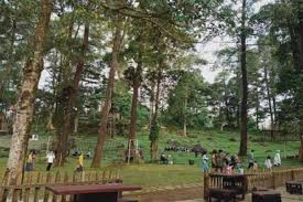 Jalan jeruk bonteng, dusun secatuhu, desa wisata cibuntu, pasawahan, seda. Duh Objek Wisata Di Kuningan Sepi Pengunjung Saat Libur Lebaran Sindonews Line Today