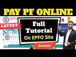 Want to know about the epf challan? How To Pay Epf Online Pf Challan Payment à¤ˆà¤ª à¤à¤« à¤• à¤­ à¤—à¤¤ à¤¨ à¤'à¤¨à¤² à¤‡à¤¨ à¤• à¤¸ à¤•à¤° Youtube