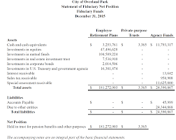 Example reduced disclosure requirements financial statements The Basic Financial Statements Financial Strategy For Public Managers