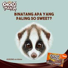 Simak saja di bawah ini bolaneters. Chocomania Twitterren Ada Tebakan Seru Nih Buat Kamu Coba Tebak Binatang Binatang Apa Yang Paling So Sweet Jawab Di Komen Ya Sob P