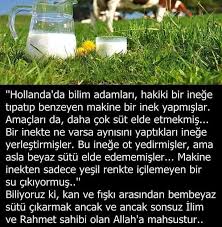 Hatice Pala Adli Kullanicinin Onemli Bilgiler Panosundaki Pin Gizli Bilgi Bilgi Biliyor Muydunuz