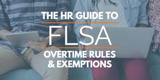 Check spelling or type a new query. Flsa Overtime Fact Sheet Hr Guide To Exemptions