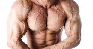 Musclely Com E Commerce Startup Name For Sale Visible Veins Workout Programs Personal Fitness