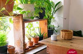 Lasst kräuter in der wohnung blühen! Dein Krautergarten Diy Fur Balkon Wohnung Mydays Magazin