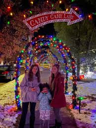 Of homes with extensive holiday displays. A Few Free Festive Outdoor Light Experiences In The Edmonton Area 2020 Linda Hoang Food Travel Lifestyle Blog