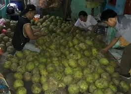 Bagaimana kandungan buah sukun sebagai alternatif pangan darurat? Buah Sukun Photos Facebook