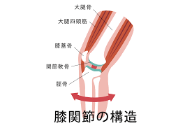 株式会社リハサク