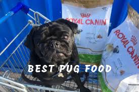 Recommended pug food for puppies and adults. Best Pug Food Pug Lovers Guide