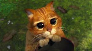 Cat Kreslene Shrek Skoda Cat Kreslene Shrek Skoda Shrek Hayvanlar Animasyon