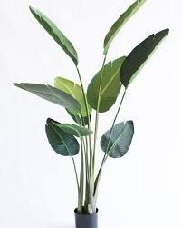 Shop online for artificial flowers at amazon.ae. Bloomin Beautiful Flowers Artificial Plants Bloomin Beautiful Flowers