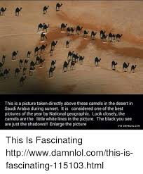 National geographic documentary about bali the tiny island in the indonesian archipelago. This Is A Picture Taken Directly Above These Camels In The Desert In Saudi Arabia During Sunset It Is Considered One Of The Best Pictures Of The Year By National Geographic Look