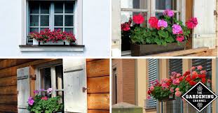 Maybe you would like to learn more about one of these? 7 Plants For Shady Window Boxes Gardening Channel