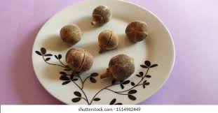 Image result for Thespesia garckeana