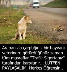 Onemli Bora Hayvan Sozleri Hayvan Haklari Veterinerler
