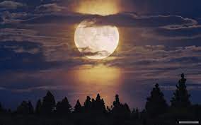 If you're in search of the best hd wallpaper for laptop, you've come to the right place. Best 65 Moonlight Wallpaper On Hipwallpaper Pretty Moonlight Wallpapers Moonlight Sky Wallpaper And Moonlight Wallpaper Dandelions