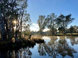 Shepparton 14 day extended forecast. Where To Stay In Shepparton Wyndhamere Motel