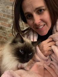 Lost cat Keada in Lima, Ohio, near Robb Avenue