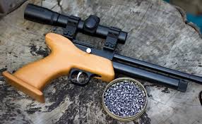 An age old question that pops up on airgun groups and people always ask me once a week and there is no definitive answer to it. Pistol Pest Control Pellpax Blog
