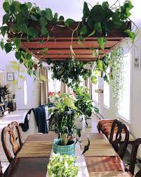 When You Want Your Plants To Literally Hang Out With You While You Eat Imag Plant Decor Indoor Inside Garden Diy Plant Stand