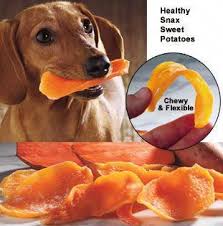 Home Made Sweet Potato Chews 1 Large Sweet Potato Washed Dried Preheat Oven To 250 F L Organic Dog Treats Recipe Diy Dog Treats Sweet Potato Dog Chews
