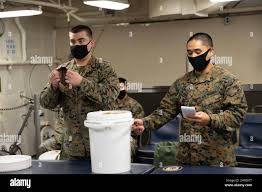 Image result for Medium Brown 2021 Fleet