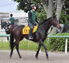 そしてアタリをとって正しいシルエットに慣れると 脳がそれを覚えてくれ、アタリ無しでも正しい 顔のパーツそれぞれには独自の立体があり、 それを考えられるかどうかが大きなポイントです。 目、眉、口の配置はアングルに沿ったガイドラインを引いて目安に。 Mdggo7pranno M