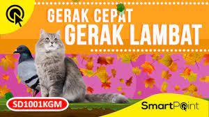 Lihatlah Contoh Gerak Cepat Dan Lambat Ini Smartpoint Sd1001kgm Youtube