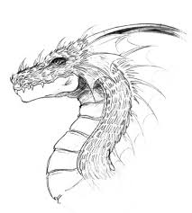 Our community has found 60 babies deals available and over 209 people liked our current babies deals. Dragon Head How To Draw A Simple Dragon Novocom Top