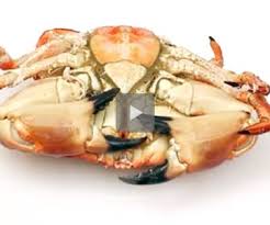 È proprio l'idea che non sia facile da pulire il motivo per il quale spesso si ricorre a un prodotto già pronto. Come Pulire Il Granchio Granciporro