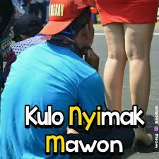  56 Ide Stiker Lucu Terbaik Lucu Stiker Lucu Gambar Lucu