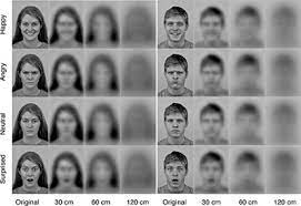 You can help your baby to tell colours apart by showing her brightly coloured books, toys and pictures. Baby Vision Development What Can Your Baby See At Different Ages