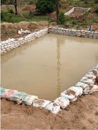 A Better Way To Build Earthen Ponds Lessons From The 180 000 Capacity Fish Farm Farmerscreed Fish Farming Fish Ponds Pond