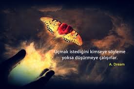 Ucmak Istedigini Kimseye Soyleme Yoksa Dusurmeye Calisirlar Gercek Alintilar Guzel Soz Alintilar