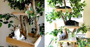 If you have several cats, a cat tree with multiple levels and hideaways can easily accommodate all your kitties. Realistic Cat Trees With Leaves Pasteurinstituteindia Com