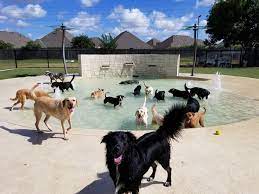 Luxury Doggie Pool At Rover Oaks Pet Resort In Katy Texas Pet Resort Dog Pool Dog Boarding Kennels