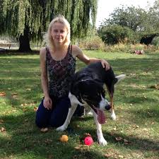 Becoming a napps member is the most valuable investment you can make for your pet sitting business. Lucie S Pet Care Dog Walking Pet Sitting North London