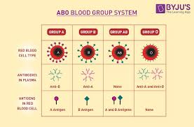 blood groups abo blood group rh blood group systems byjus