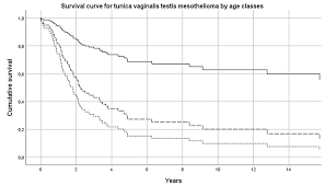 Mesothelioma of the tunica vaginalis testis is a extremely rare tumor and represents 0.3 to 0.5% of all malignant mesotheliomas. B Survival Curve By Age Class For Tunica Vaginalis Testis Download Scientific Diagram