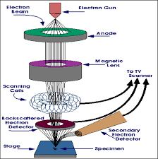 Motherboard samsung galaxy s7 edge. 6 Schematic Diagram Of Scanning Electron Microscope Download Scientific Diagram