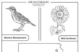 Celebrate kansas day with some sunflower cupcakes. Mr Nussbaum Geography Kansas Activities