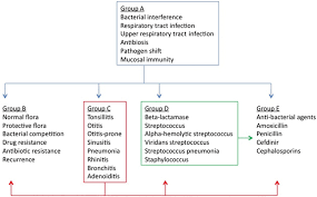 Image result for Group D Streptococcus