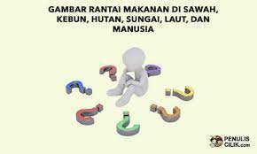 Gambar Rantai Makanan Di Sawah Kebun Hutan Sungai Laut Dan Manusia Penulis Cilik Gambar Hutan Rantai Makanan