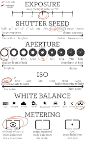 Hungry Dslr Photography Tips Mom Dslooking Photographygearshooting Photography Basics Photography Camera Photography Lessons