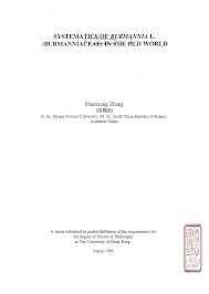 Image result for Burmannia madagascariensis